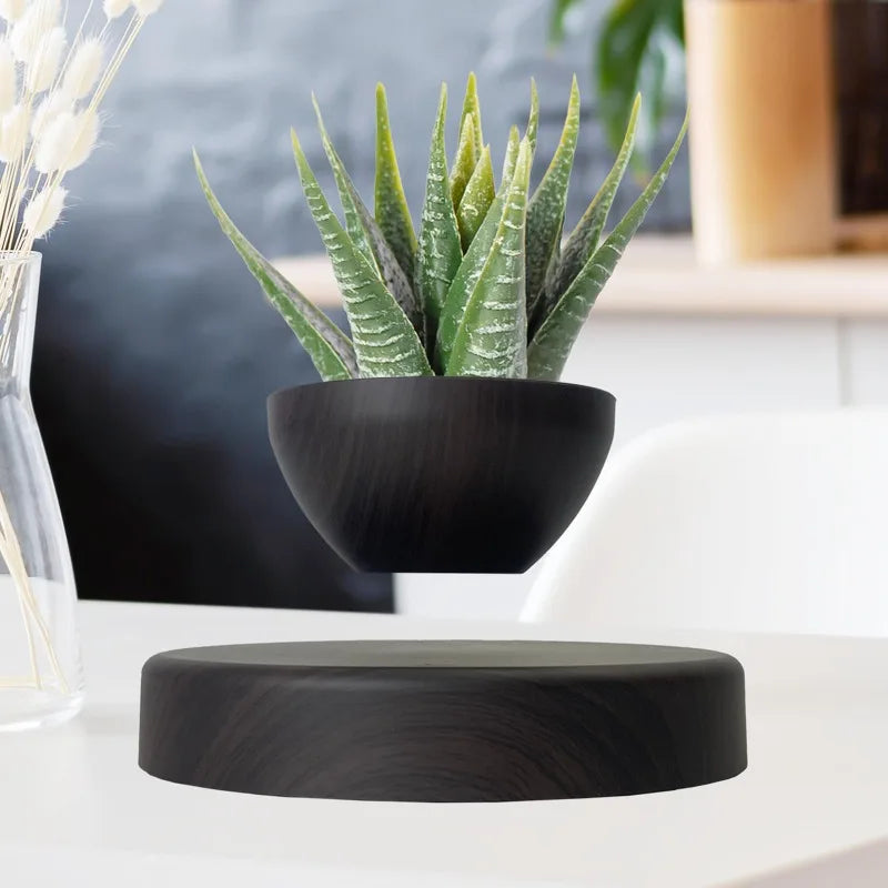 Levitating Plant Pot Floating Pot Bonsai Planter Home Office Desk Decor Birthday Christmas Gift for Girlfriend Women Friends
