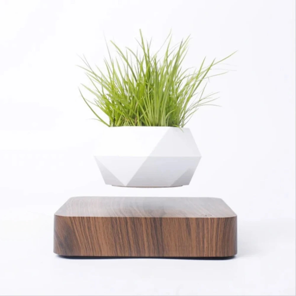 Levitating Plant Pot Floating Pot Bonsai Planter Home Office Desk Decor Birthday Christmas Gift for Girlfriend Women Friends